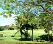 The Woods at Palmas del Mar