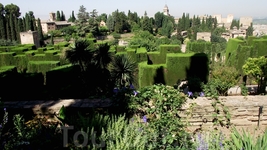 Granada - Generalife