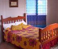 Фото отеля Kava Palm Guesthouse NukuAlofa