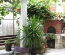 Фото Franeta