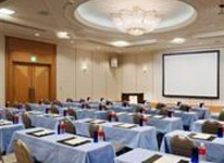 ANA Crowne Plaza Hotel Chitose
