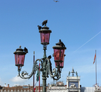 Венецианские фонари и голуби