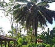 Hacienda Bali