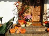 Domačija Novak Domačija Novak