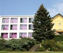 Фото Amethysthotel & Landgasthof Zum Naderer Maissau