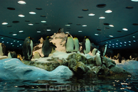 У пингвинов в Лоро-парке огромный крытый вольер, где им построили свою маленькую Антарктиду, там даже снег сыплется. Я думаю, пингвны и не догадываются ...