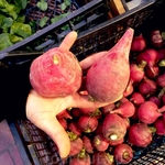 Вот такая вот не маленькая редиска продается в Стамуле )) Вот такая вот не маленькая редиска продается в Стамуле ))