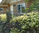 Фото Jeju Logcabin Pension