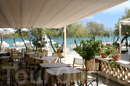 Фото Ionian Beach Bungalows Resort