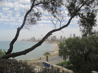 Вид на набережную Тель-Авива с крепостного холма Яффы. ...О, эта набережная - просторная, оживленная, полная морского ветра и брызг! ...Я люблю тебя, Тель-Авив" ...