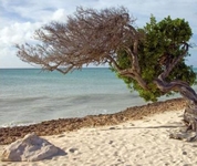 Boardwalk Boutique Hotel Aruba