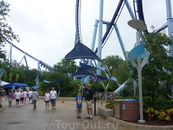 Sea World - Manta