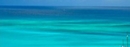 Фото Palm Apartments Aruba