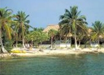 Blackbird Caye Resort