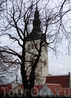 Вид на крыши Таллинна и церковь Нигулисте.