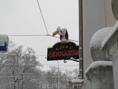 Пингвин, блин!