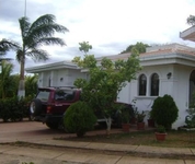 The Dolphin The Dolphin