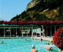 Фото Alex Hotel Naters