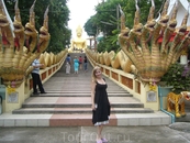 Змея Наг охраняет Будду