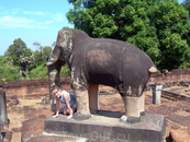 слон в храмовом комплексе Ангкор