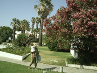 Prainha (Праинья), Alvor