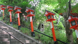 Курама (鞍马) -сельский городок в горах Северного города Киото, менее чем в часе от центра города. Курама известен храмом Курама-дера и горячими источниками ...