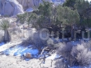 Фото Airstream