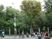 Мадрид. Ботанический сад возле музея Прадо