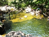 Мы здесь тоже купались, когда ездили в джунгли.