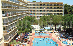 Best Hotels Oasis Park