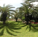 Boardwalk Boutique Hotel Aruba