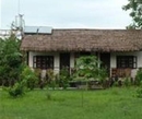 Фото Eco Wildlife Lodge