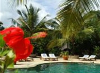 The Sands At Chale Island