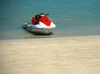 The Palms Resort