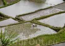 Крестьянин за работой. Крестьянин за работой.