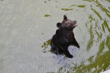 Зоопарк