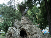 и орел - символ Кавказа