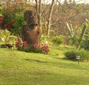 Фото Chez Joseph Rapa Nui