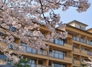 Фото Biwako Hanakaido