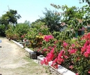 Фото Summerset Village
