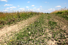 Иногда мы ехали по совершенно сухой дороге... Иногда мы ехали по совершенно сухой дороге...