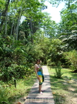 Дорога к пляжу после лестницы проходит через джунгли.