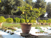 Вилла Боргезе.