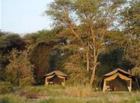 Lemala Manyara Camp Arusha