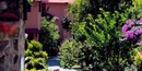 Фото Boquete Garden Inn