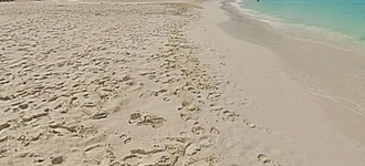 Tamarijn Aruba