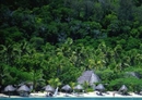 Фото Castaway Island Resort