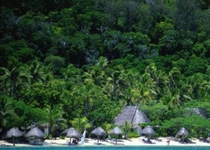 Castaway Island Resort