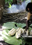 Kosrae Village Ecolodge