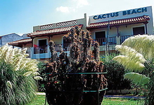 Cactus Beach